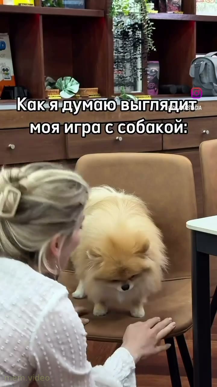 Кадр: Гринч пугает и прыгает перед камерой: как собака видит игру