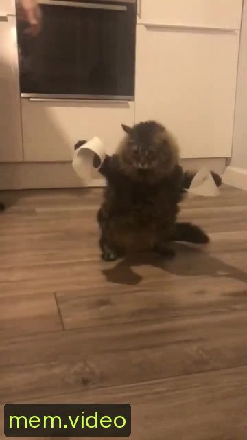 Кадр на 0:02