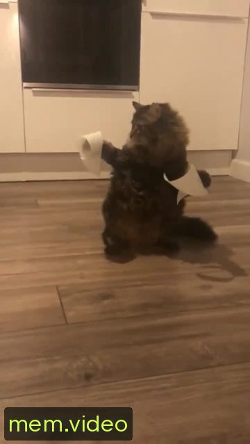 Кадр на 0:02