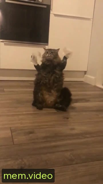 Кадр на 0:03