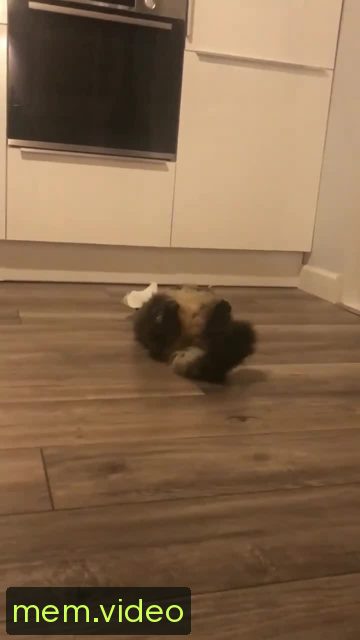 Кадр на 0:04