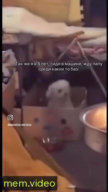 Кадр на 0:09