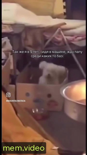 Кадр на 0:11