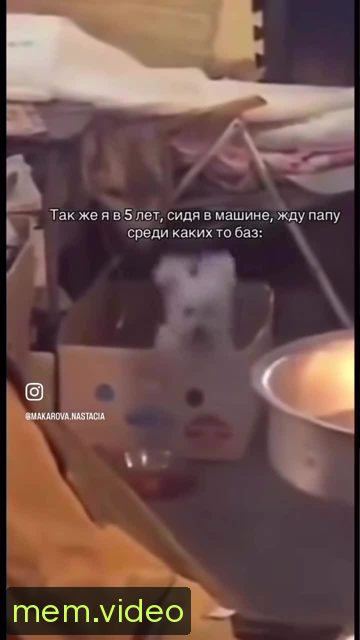 Кадр на 0:12
