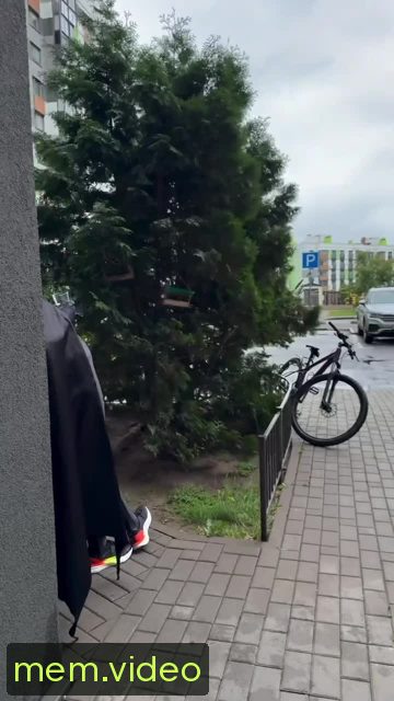 Кадр на 0:00