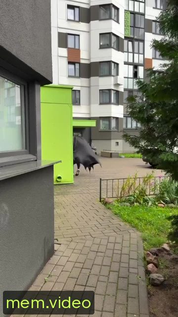 Кадр на 0:11