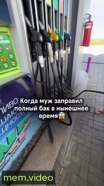 Кадр на 0:00