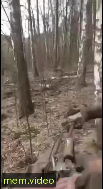 Кадр на 0:11
