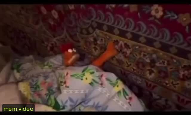 Кадр на 0:00