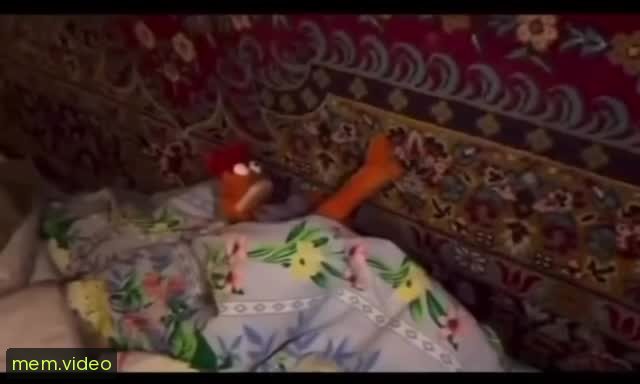 Кадр на 0:00