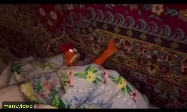 Кадр на 0:00
