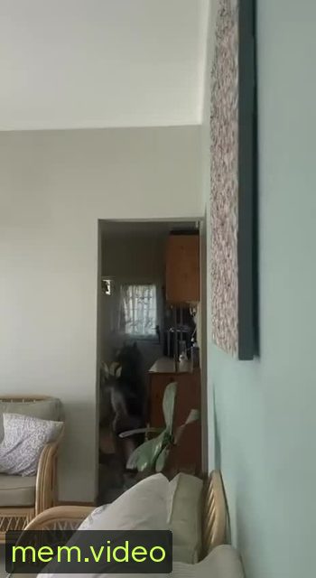 Кадр на 0:00