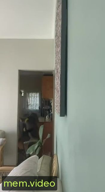 Кадр на 0:00