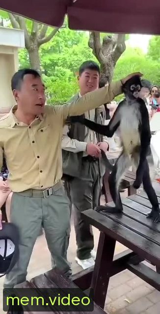 Кадр на 0:04