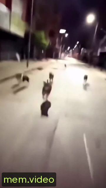 Кадр на 0:00