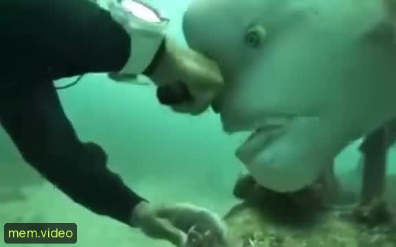 Кадр на 0:01