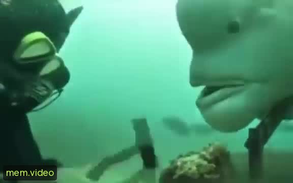 Кадр на 0:01
