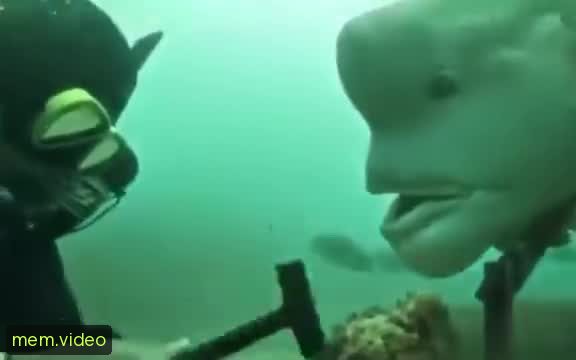 Кадр на 0:02