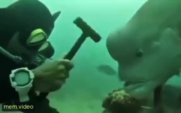 Кадр на 0:02