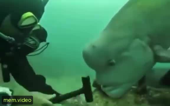 Кадр на 0:03