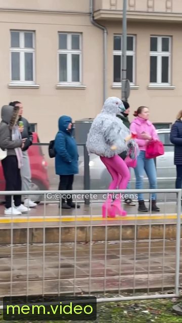 Кадр на 0:05