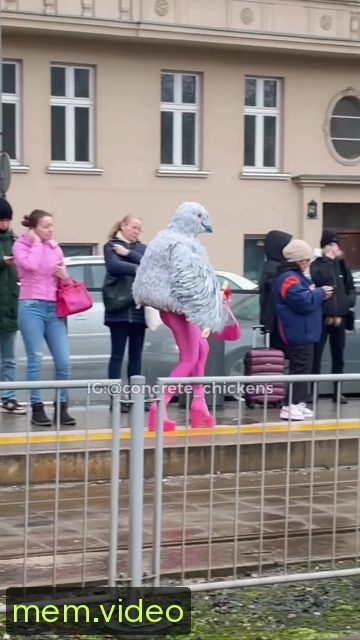 Кадр на 0:06