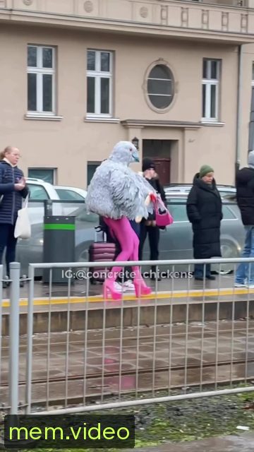 Кадр на 0:07