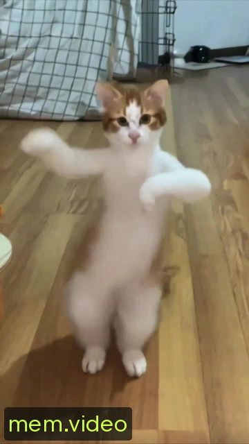 Кадр на 0:04