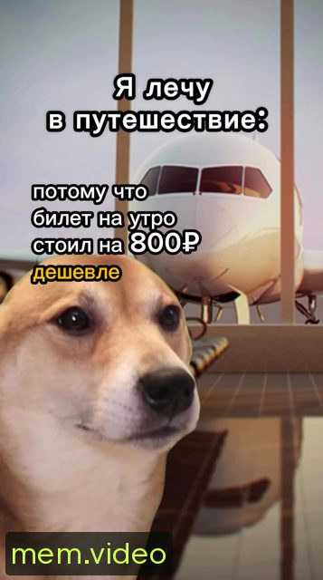 Кадр на 0:04