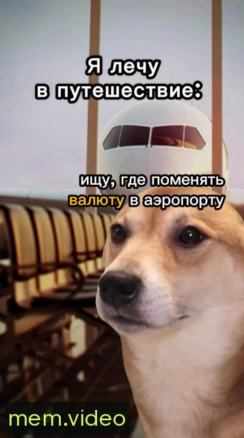 Кадр на 0:05