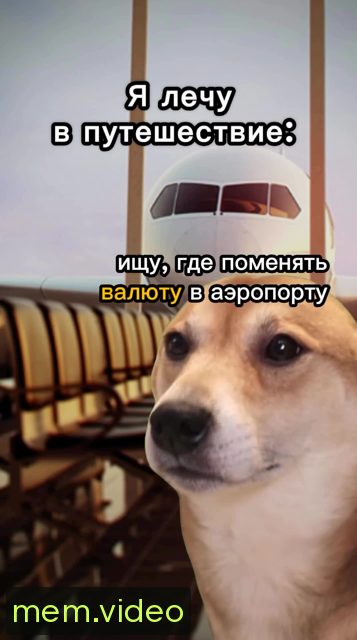 Кадр на 0:06