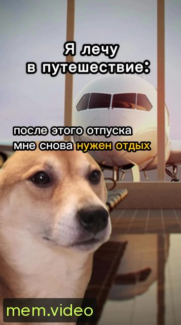 Кадр на 0:12