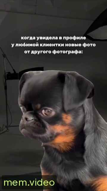 Кадр на 0:00