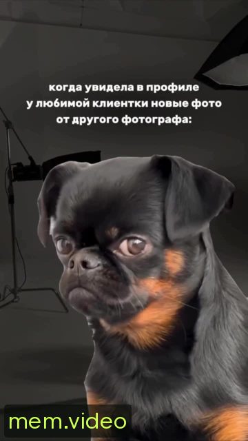 Кадр на 0:00
