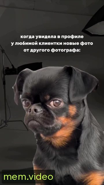 Кадр на 0:01