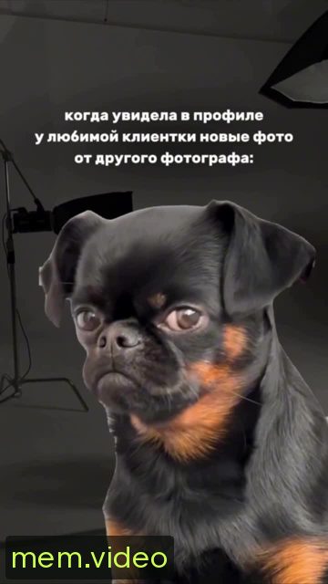 Кадр на 0:02