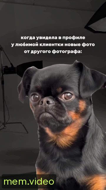 Кадр на 0:02