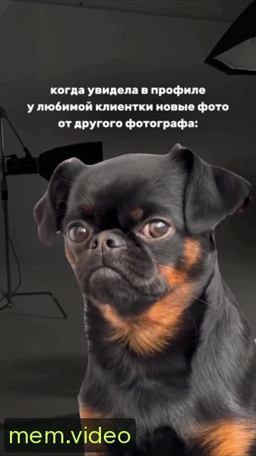 Кадр на 0:03