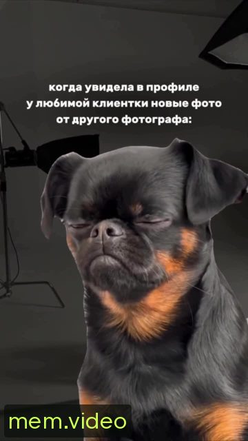 Кадр на 0:04