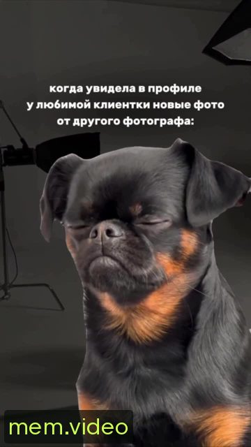 Кадр на 0:04