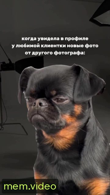 Кадр на 0:05