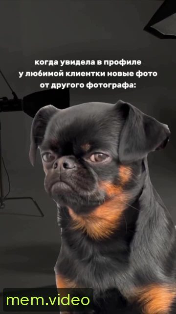 Кадр на 0:06