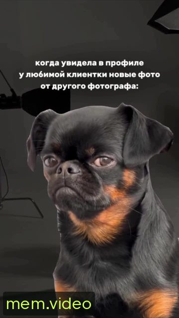 Кадр на 0:07