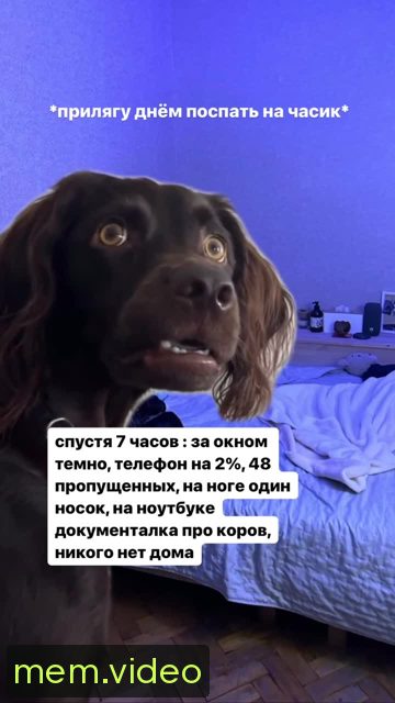 Кадр на 0:01
