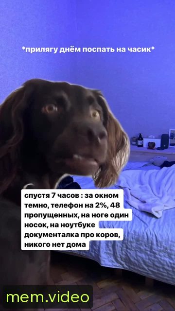 Кадр на 0:02