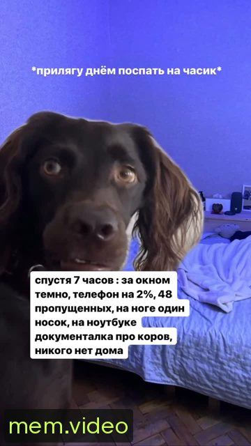 Кадр на 0:03