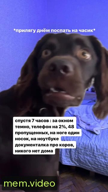 Кадр на 0:04