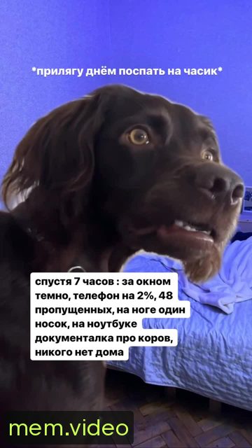 Кадр на 0:06