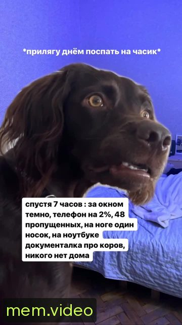 Кадр на 0:07