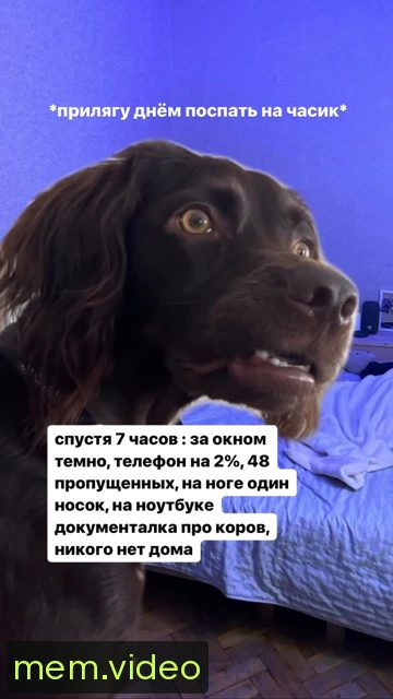 Кадр на 0:09